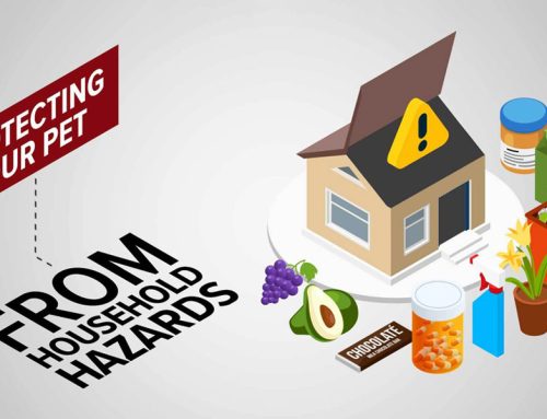Household Hazards